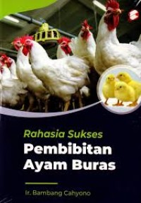Rahasia Sukses Pembibitan Ayam Buras